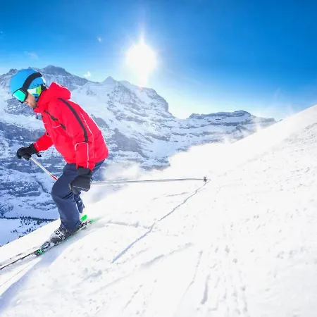 Allod Park Haus C 505 By Interhome Appartamento Davos